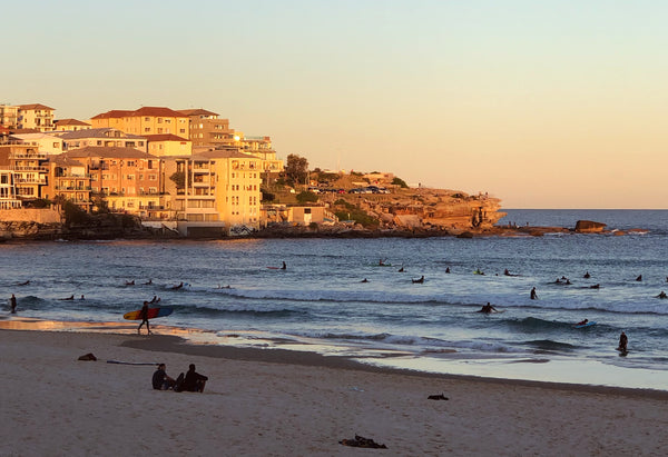 Bondi Roots