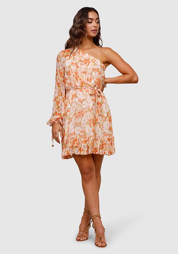 Spring Meadows Mini Dress